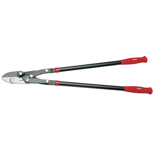 Záhradnícke nožnice na stromy