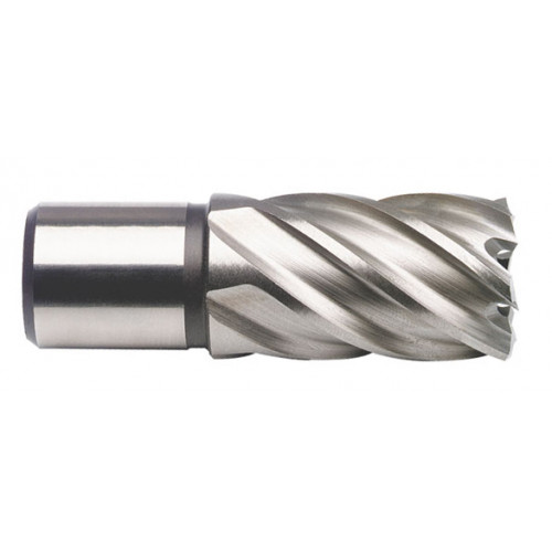 Jadrový vrták HSSCo8, Weldon 19 mm (3/4